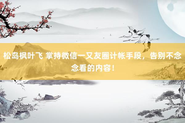 松岛枫叶飞 掌持微信一又友圈计帐手段，告别不念念看的内容！