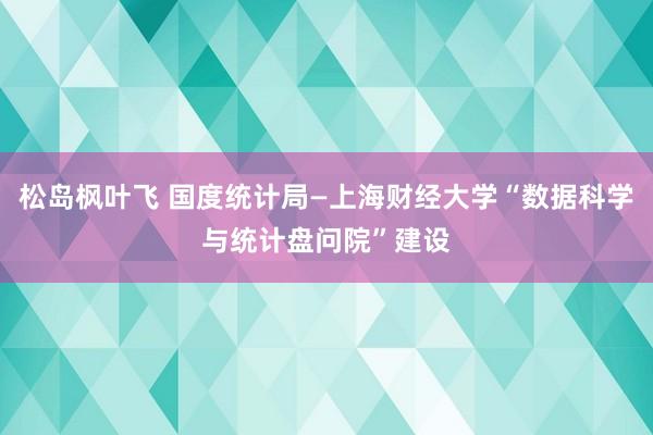 松岛枫叶飞 国度统计局—上海财经大学“数据科学与统计盘问院”建设