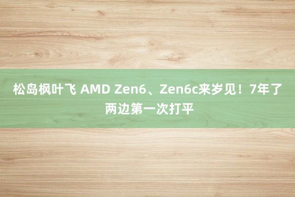松岛枫叶飞 AMD Zen6、Zen6c来岁见！7年了 两边第一次打平