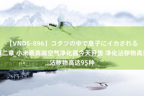 【VNDS-896】コタツの中で息子にイカされる義母 第二章 小米最高端空气净化器今天开售 净化沾秽物高达95种