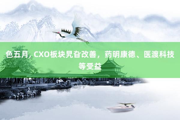 色五月， CXO板块旯旮改善，药明康德、医渡科技等受益