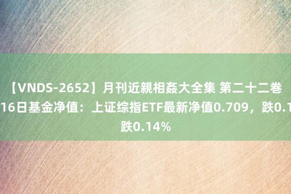 【VNDS-2652】月刊近親相姦大全集 第二十二巻 8月16日基金净值：上证综指ETF最新净值0.709，跌0.14%