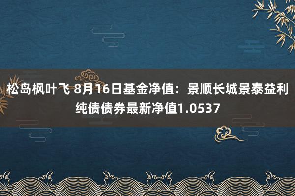 松岛枫叶飞 8月16日基金净值：景顺长城景泰益利纯债债券最新净值1.0537