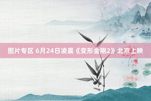 图片专区 6月24日凌晨《变形金刚2》北京上映