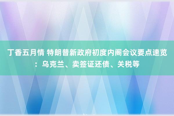 丁香五月情 特朗普新政府初度内阁会议要点速览：乌克兰、卖签证还债、关税等
