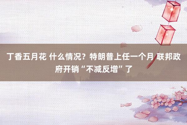 丁香五月花 什么情况？特朗普上任一个月 联邦政府开销“不减反增”了