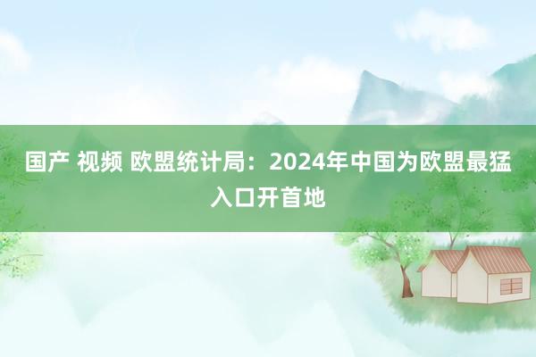 国产 视频 欧盟统计局：2024年中国为欧盟最猛入口开首地