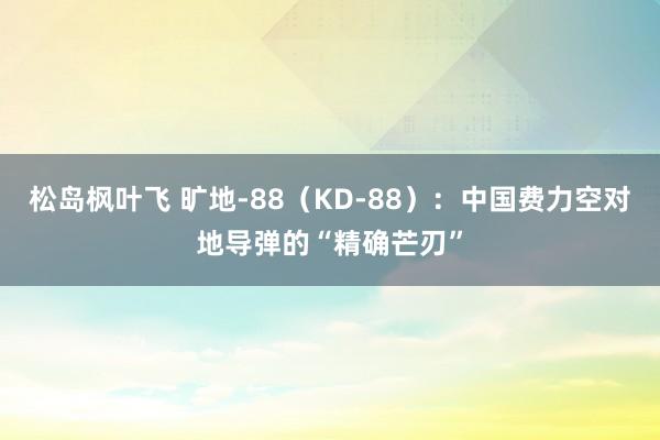 松岛枫叶飞 旷地-88（KD-88）：中国费力空对地导弹的“精确芒刃”