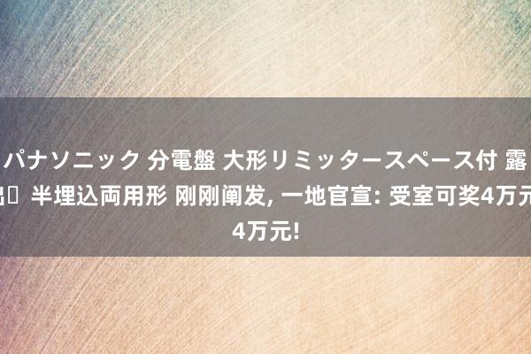 パナソニック 分電盤 大形リミッタースペース付 露出・半埋込両用形 刚刚阐发， 一地官宣: 受室可奖4万元!