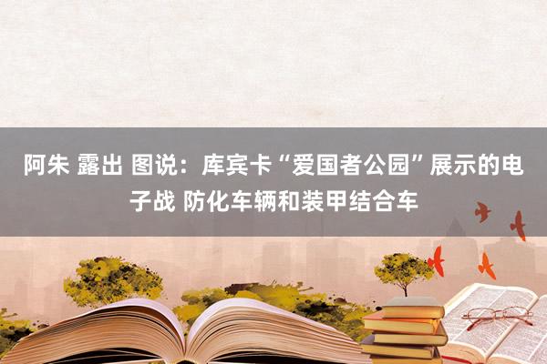 阿朱 露出 图说：库宾卡“爱国者公园”展示的电子战 防化车辆和装甲结合车