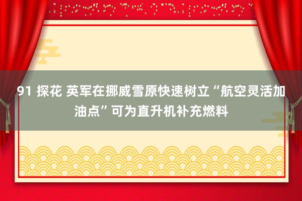 91 探花 英军在挪威雪原快速树立“航空灵活加油点”可为直升机补充燃料